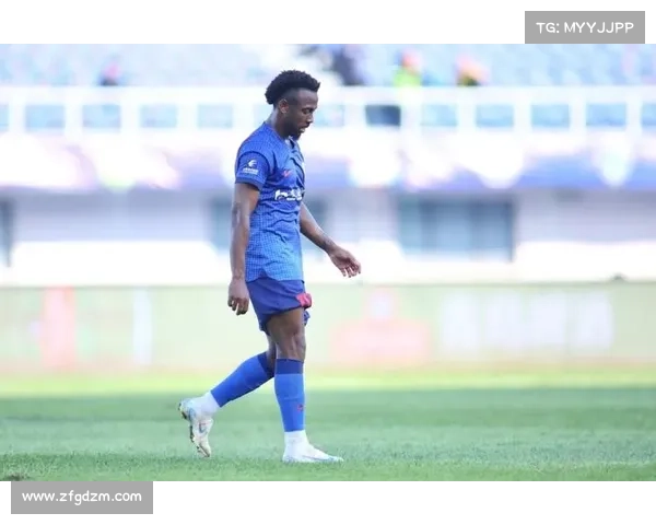 如何面对费南多退役的消息及其对球迷与足球界的深远影响